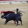 Castellón, Magdalena 2013