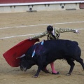 Castellón, Magdalena 2013