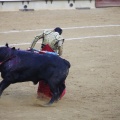 Castellón, Magdalena 2013