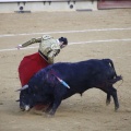 Castellón, Magdalena 2013