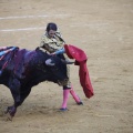 Castellón, Magdalena 2013
