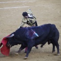 Castellón, Magdalena 2013