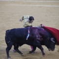 Castellón, Magdalena 2013