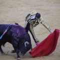 Castellón, Magdalena 2013