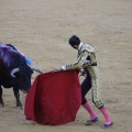 Castellón, Magdalena 2013