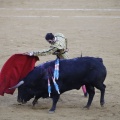 Castellón, Magdalena 2013