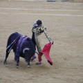 Castellón, Magdalena 2013