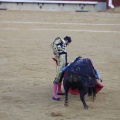 Castellón, Magdalena 2013
