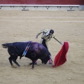 Castellón, Magdalena 2013