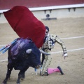Castellón, Magdalena 2013