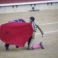 Castellón, Magdalena 2013