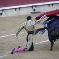 Castellón, Magdalena 2013