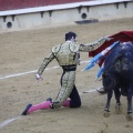 Castellón, Magdalena 2013