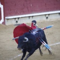 Castellón, Magdalena 2013