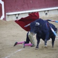 Castellón, Magdalena 2013