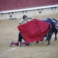 Castellón, Magdalena 2013