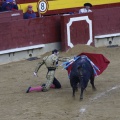 Castellón, Magdalena 2013