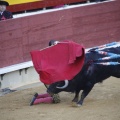 Castellón, Magdalena 2013