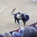 Castellón, Magdalena 2013