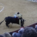 Castellón, Magdalena 2013