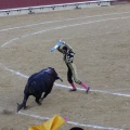 Castellón, Magdalena 2013