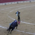 Castellón, Magdalena 2013