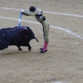 Castellón, Magdalena 2013