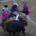 Castellón, Magdalena 2013