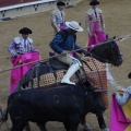 Castellón, Magdalena 2013