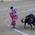 Castellón, Magdalena 2013