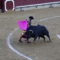 Castellón, Magdalena 2013
