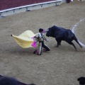 Castellón, Magdalena 2013