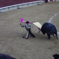 Castellón, Magdalena 2013