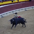 Castellón, Magdalena 2013