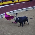 Castellón, Magdalena 2013