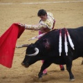 Castellón, Magdalena 2013
