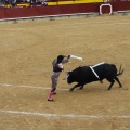 Castellón, Magdalena 2013