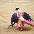 Castellón, Magdalena 2013