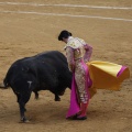 Castellón, Magdalena 2013