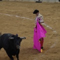 Castellón, Magdalena 2013