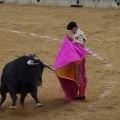 Castellón, Magdalena 2013