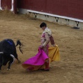 Castellón, Magdalena 2013