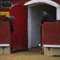 Castellón, Magdalena 2013