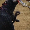 Castellón, Magdalena 2013