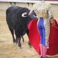 Castellón, Magdalena 2013