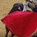 Castellón, Magdalena 2013