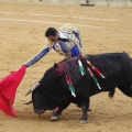 Castellón, Magdalena 2013
