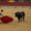 Castellón, Magdalena 2013