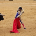 Castellón, Magdalena 2013