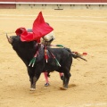 Castellón, Magdalena 2013